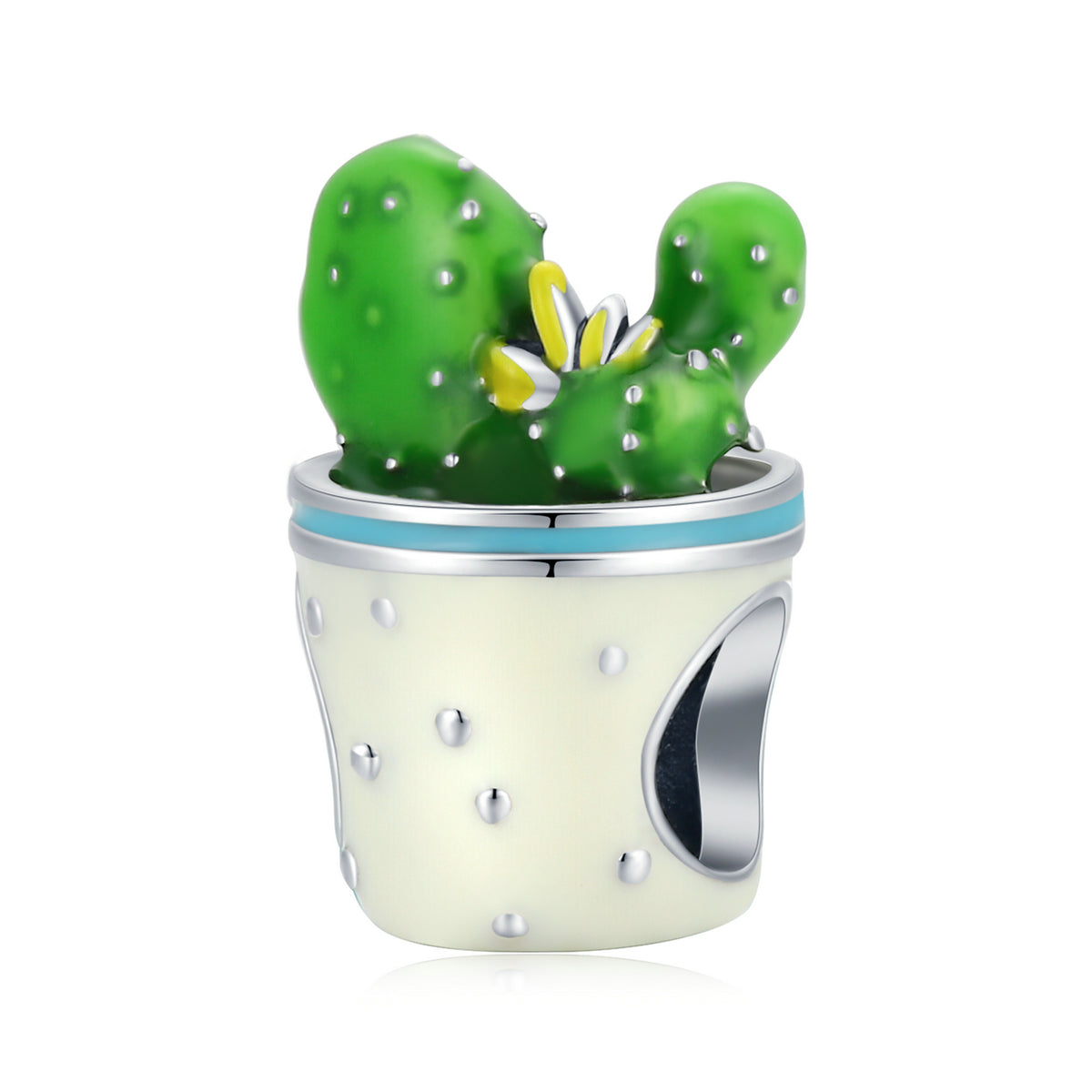 Cactus Plant In Pot Charm