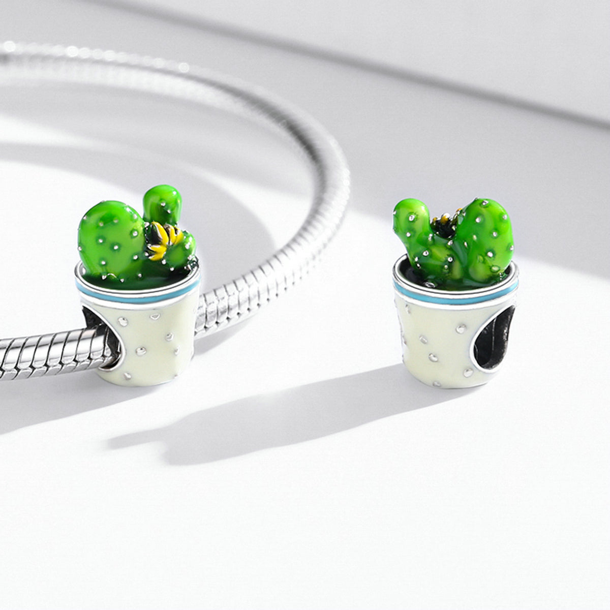 Cactus Plant In Pot Charm