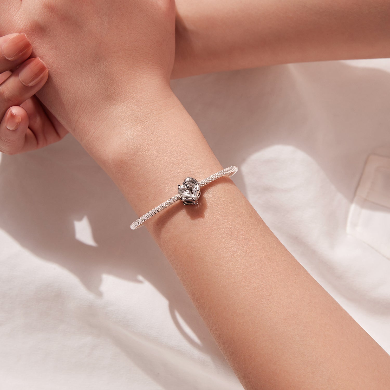 Cat Lover Charm