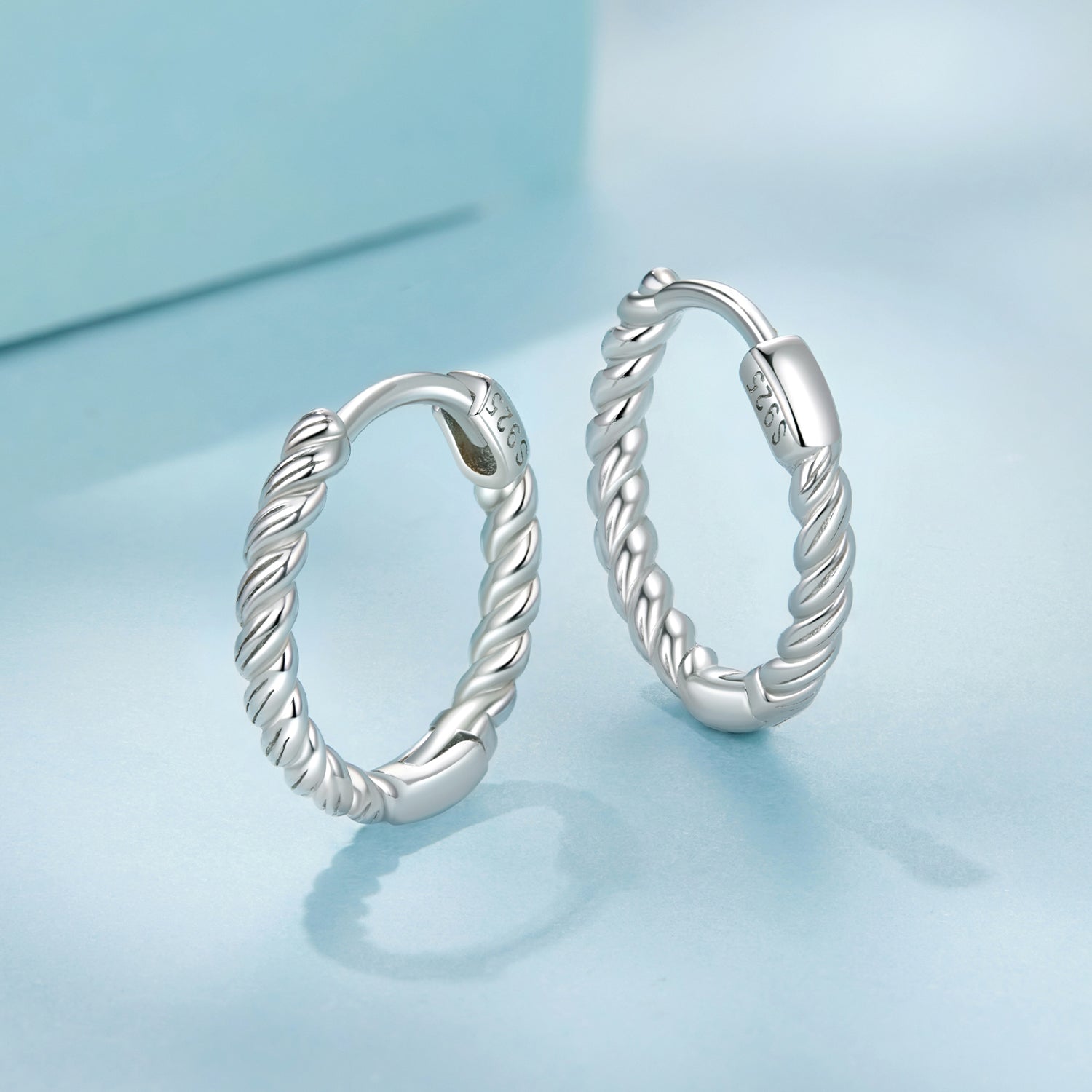 Twisted Hoop Earrings